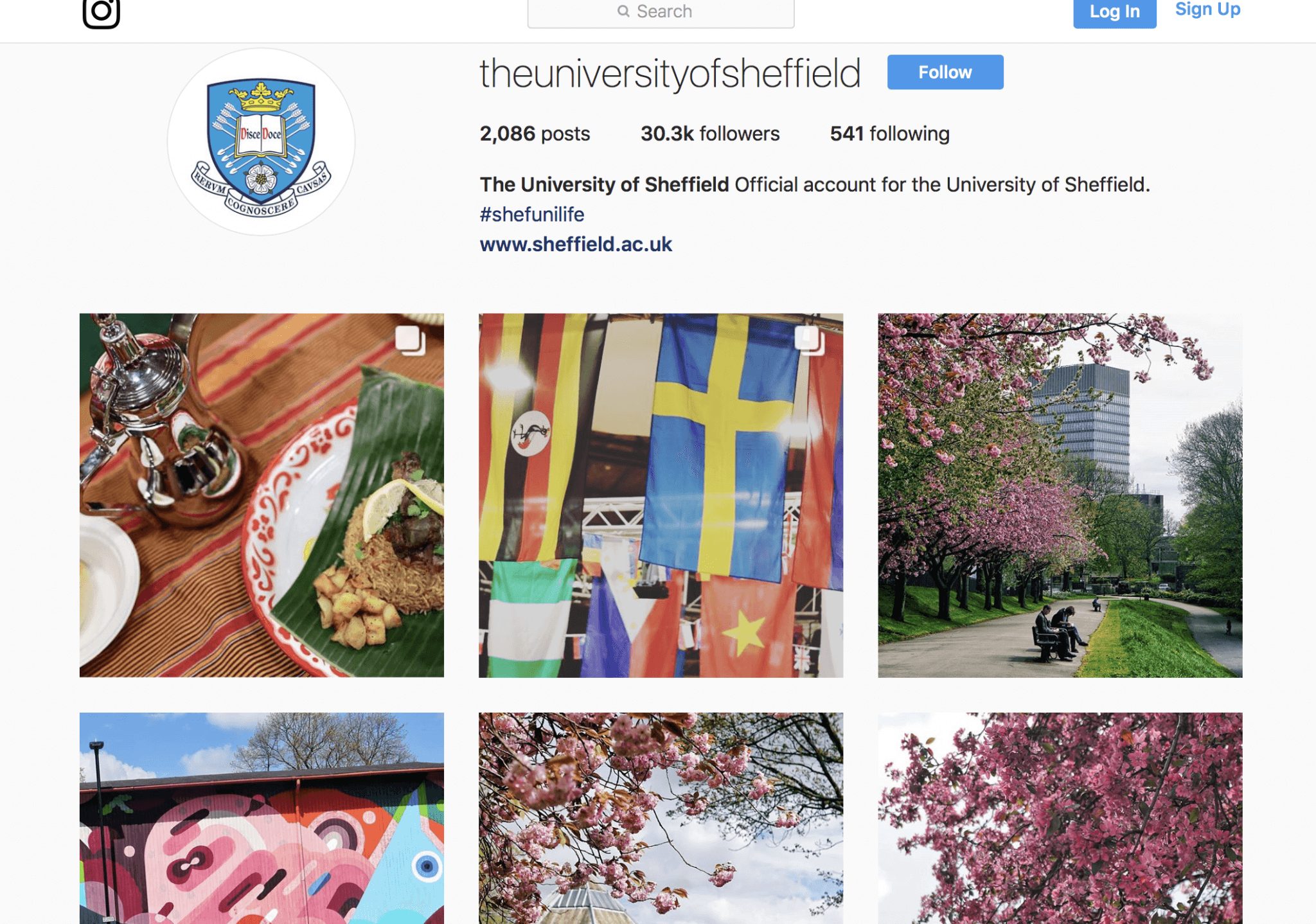 University of Sheffield digital campaign