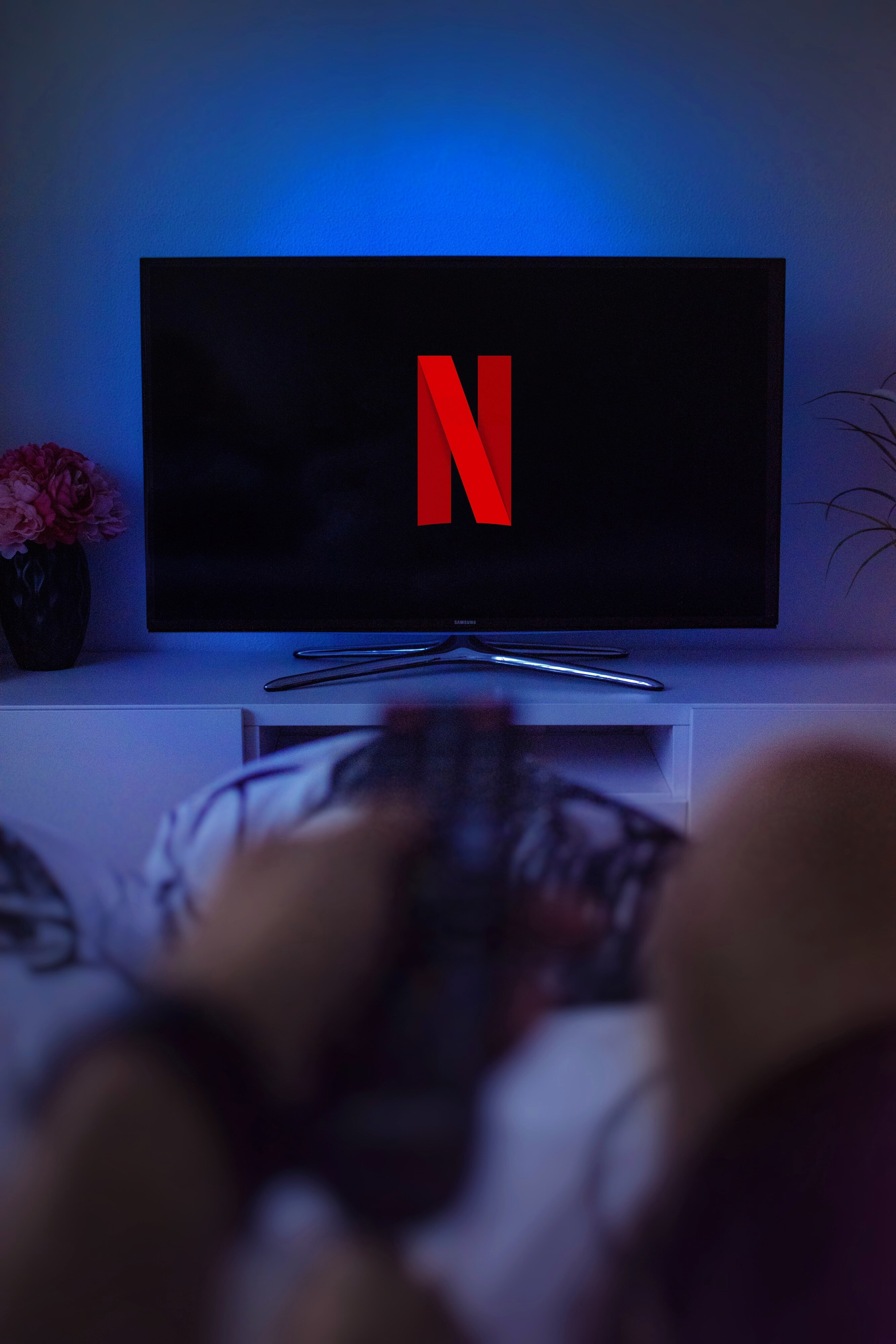 Netflix on TV