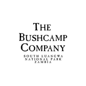 Our Client, logo The Buschcamp Company